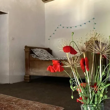 Luxurious 18th Century French With Swimming Pool And Jacuzzi -villa Renovee Avec Jacuzzi Et Piscine