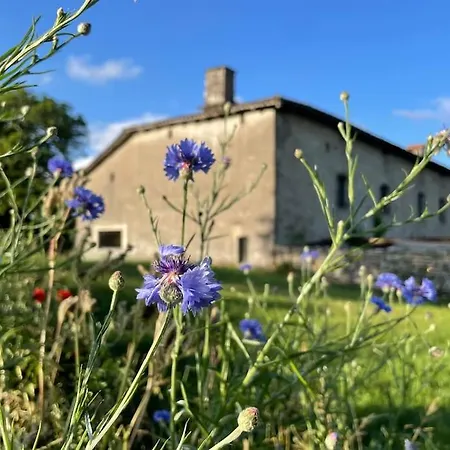 Luxurious 18th Century French With Swimming Pool And Jacuzzi -villa Renovee Avec Jacuzzi Et Piscine