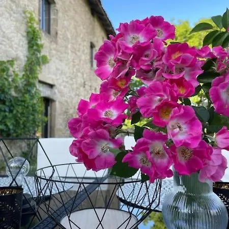 Luxurious 18th Century French With Swimming Pool And Jacuzzi -villa Renovee Avec Jacuzzi Et Piscine * Latronquière