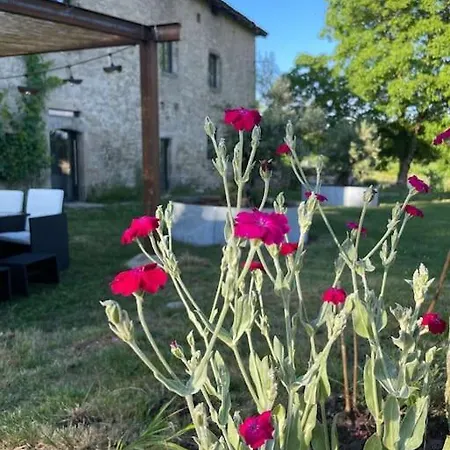 Luxurious 18th Century French With Swimming Pool And Jacuzzi -villa Renovee Avec Jacuzzi Et Piscine Villa Latronquière